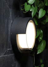 rd akrelic  wall lightt